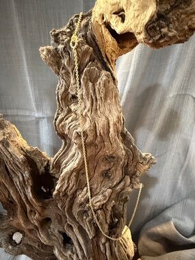 Gold Chain Decorative Accent Necklace - Gold